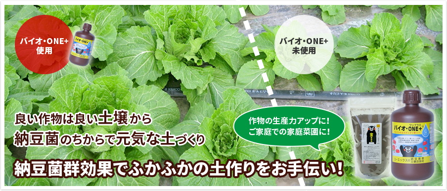 納豆菌群効果でふかふかの土づくりをお手伝い！